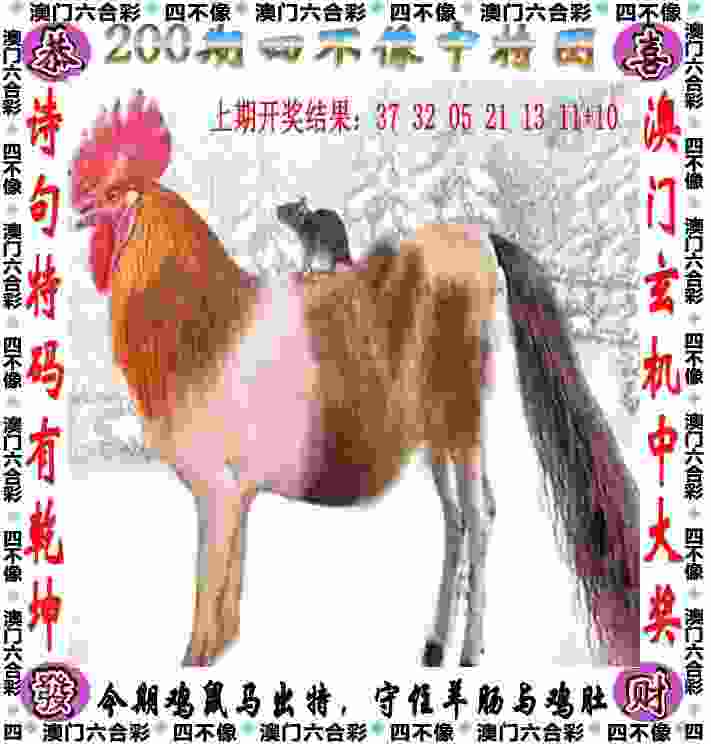 >新门内部资料内部网站